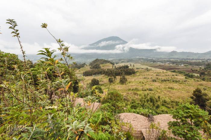 Lodge bisate rwanda volcanoes national park