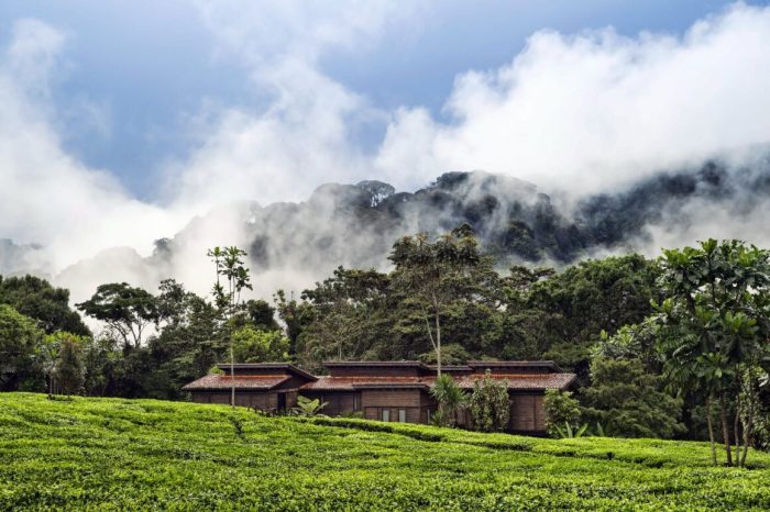 Java chikmagalur lodges resorts